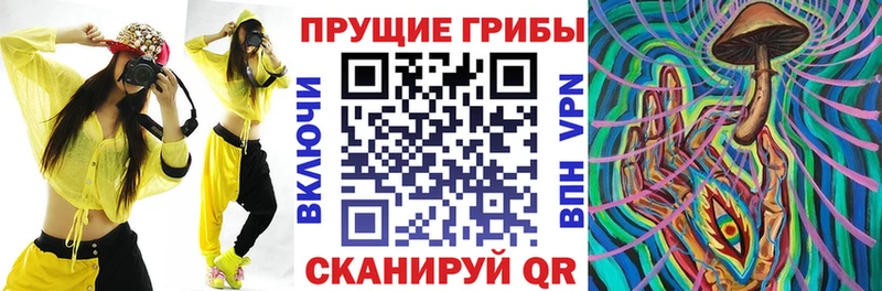 Галлюциногенные грибы Magic Shrooms  даркнет какой сайт  Томмот 